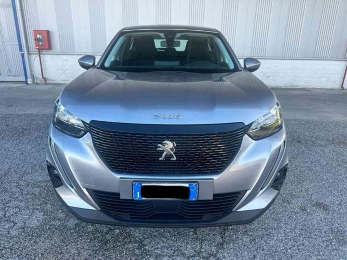 Peugeot 2008 BlueHDi 110 S&S Active (9)