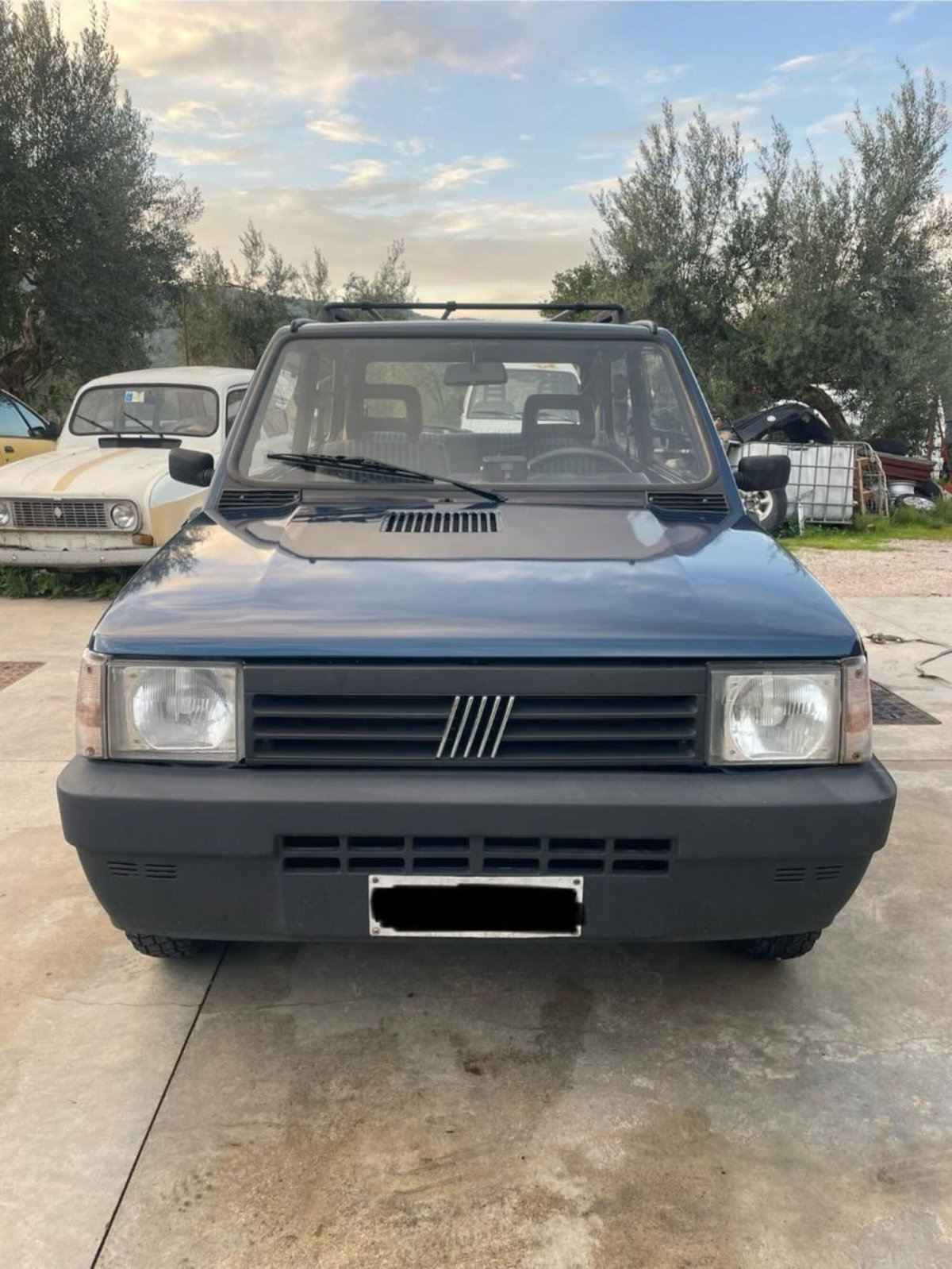 Fiat Panda 1100 i.e. cat 4x4 Country Club (2)