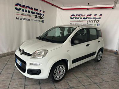 Fiat Panda 1.2 Easy usata