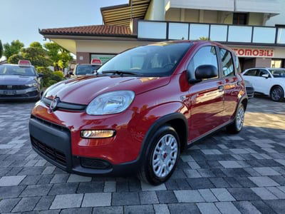 Fiat Panda 1.0 firefly hybrid s&s 70cv 5p.ti