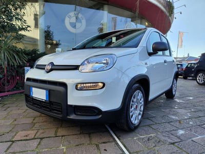 Fiat Panda 1.0 firefly hybrid s&s 70cv 5p.ti