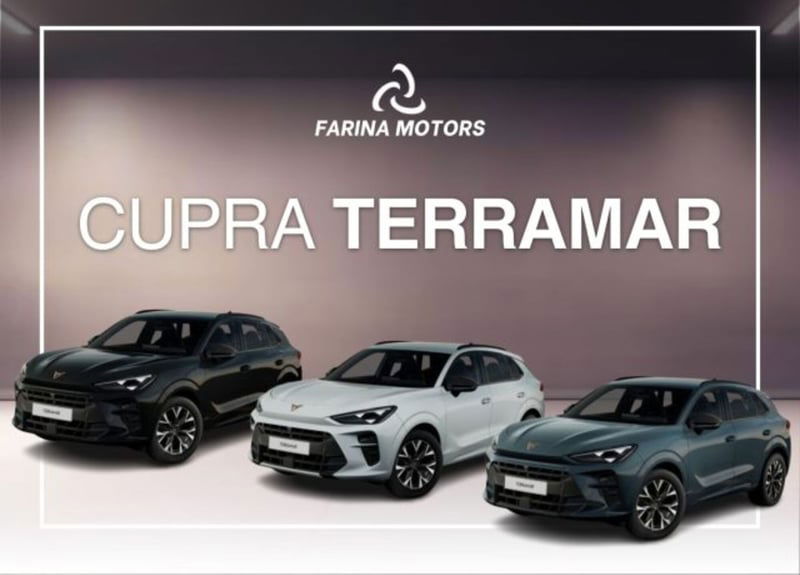 Cupra Terramar 1.5 hybrid 150cv dsg