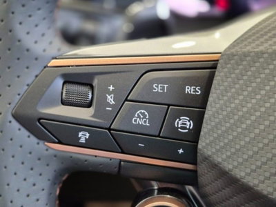 Cupra Terramar 1.5 hybrid 150cv dsg (17)