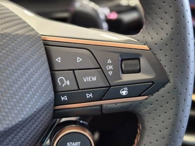 Cupra Terramar 1.5 hybrid 150cv dsg (18)