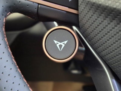 Cupra Terramar 1.5 hybrid 150cv dsg (19)