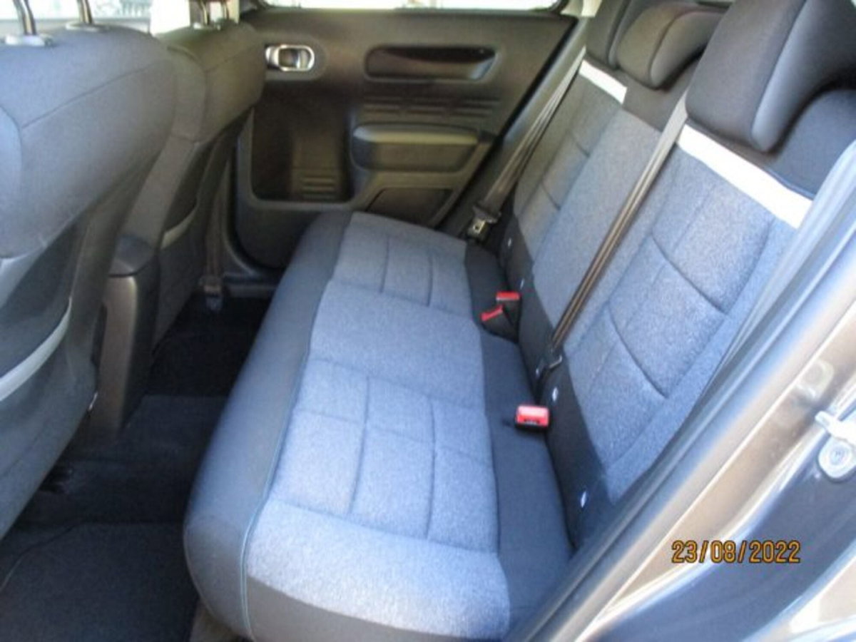 Citroen C4 Cactus BlueHDi 100 S&S Shine (11)