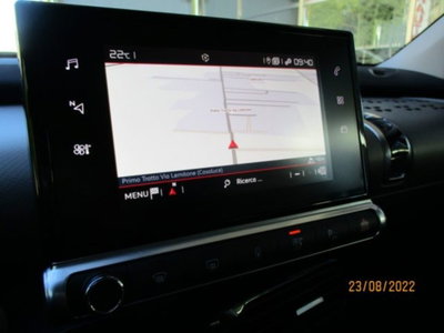 Citroen C4 Cactus BlueHDi 100 S&S Shine (17)