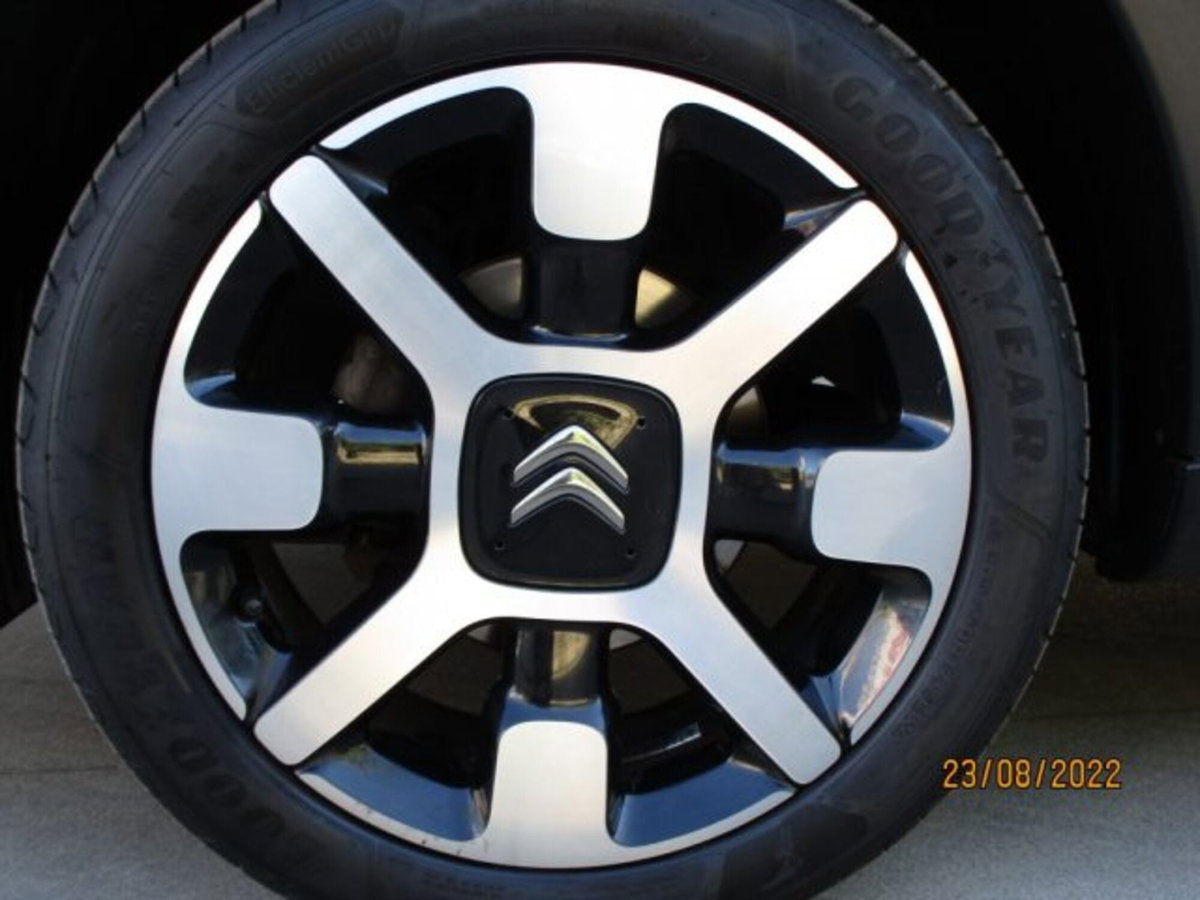 Citroen C4 Cactus BlueHDi 100 S&S Shine (4)