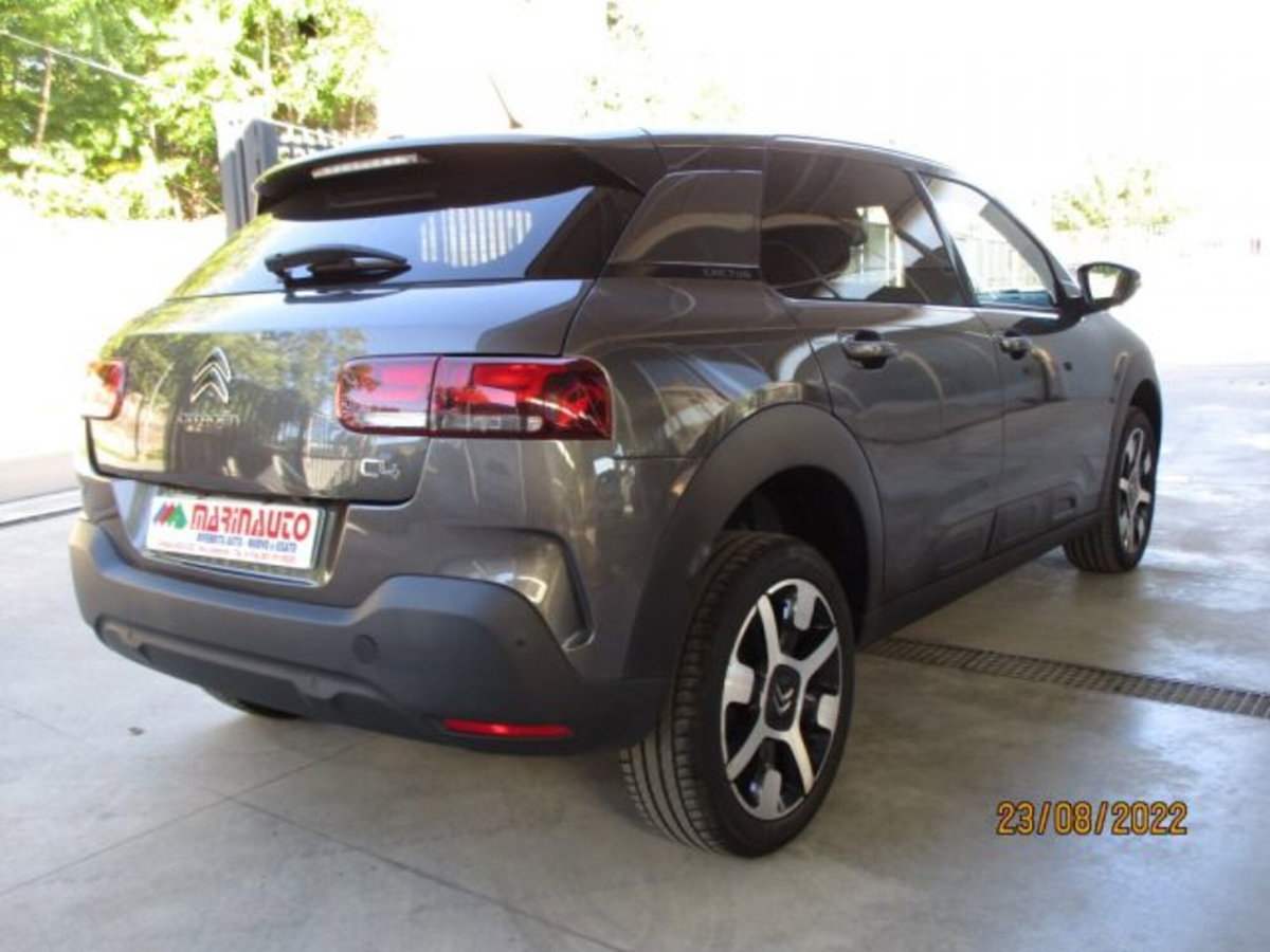 Citroen C4 Cactus BlueHDi 100 S&S Shine (7)