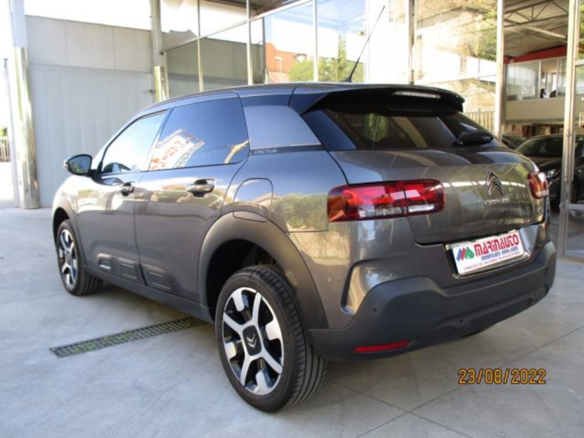 Citroen C4 Cactus BlueHDi 100 S&S Shine (8)