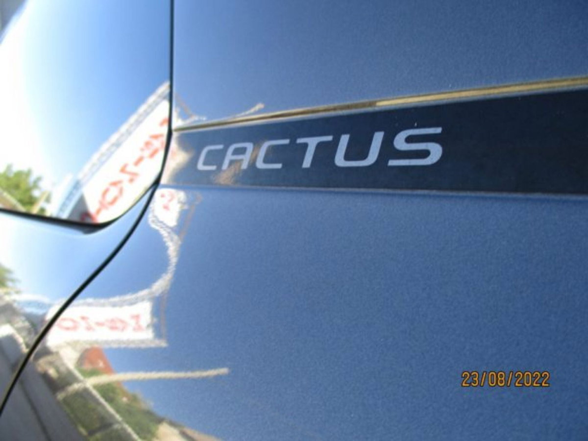Citroen C4 Cactus BlueHDi 100 S&S Shine (9)