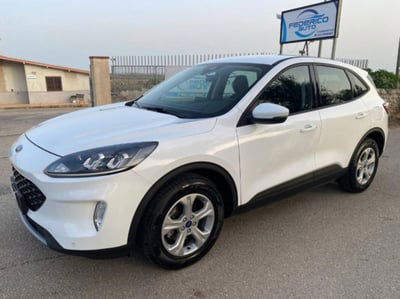 Ford Kuga 1.5 EcoBlue 120 CV 2WD ST-Line  usata