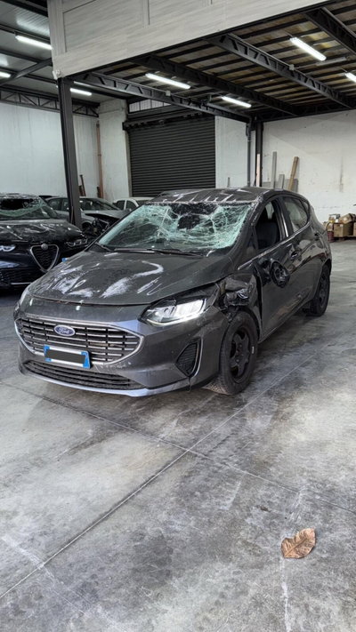 Ford Fiesta 1.1 75 CV 5 porte Titanium (5)