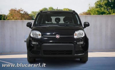 Fiat Panda 1.0 FireFly S&S Hybrid City Cross usata