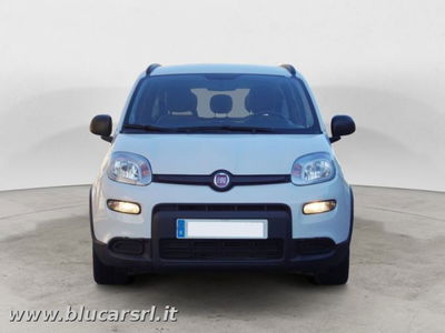 Fiat Panda 1.0 FireFly S&S Hybrid City Cross usata