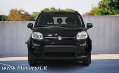 Fiat Panda 1.0 FireFly S&S Hybrid City Cross usata
