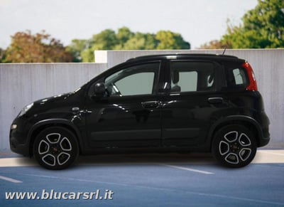 Fiat Panda 1.0 FireFly S&S Hybrid City Cross usata