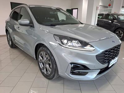 Ford Kuga 2.0 EcoBlue 120 CV aut. 2WD ST-Line X usata
