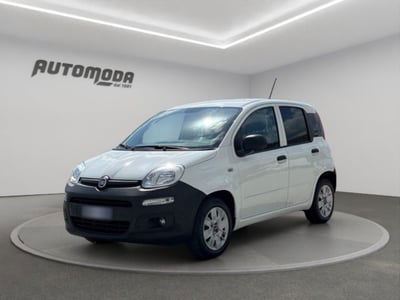 Fiat Panda 1.2 usata