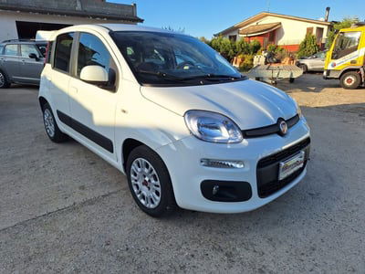 Fiat Panda 1.2 Easy  usata