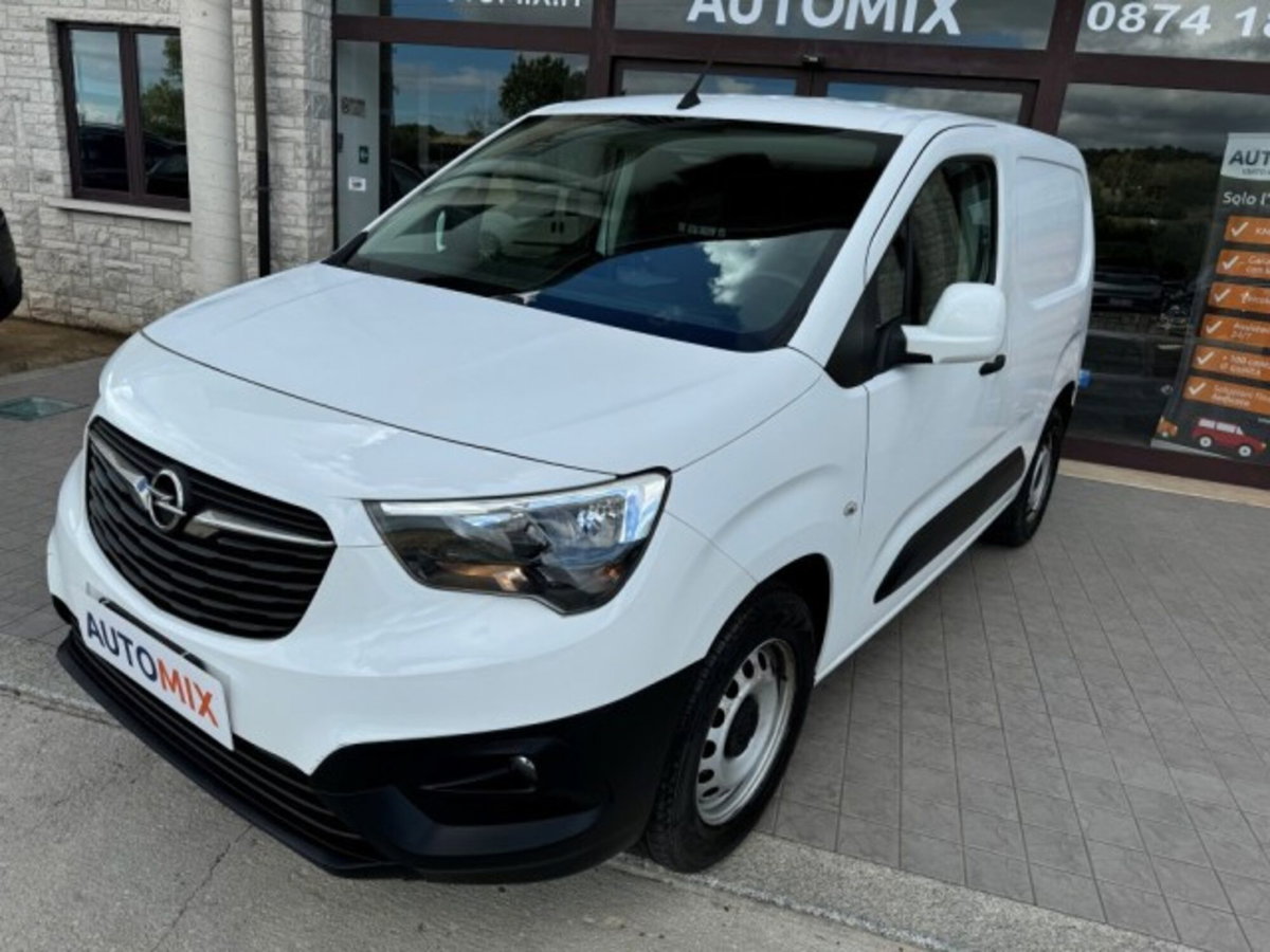 Opel Combo Furgone 1.3 CDTI 75CV 3p. Van (4)