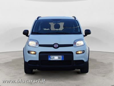 Fiat Panda 1.0 FireFly S&S Hybrid City Cross usata