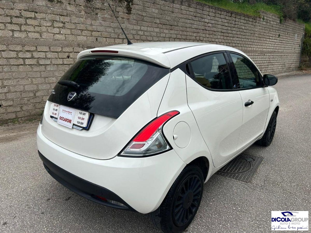 Lancia Ypsilon 1.2 69 CV 5 porte Platinum (5)