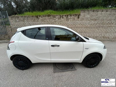 Lancia Ypsilon 1.2 69 CV 5 porte Platinum (6)