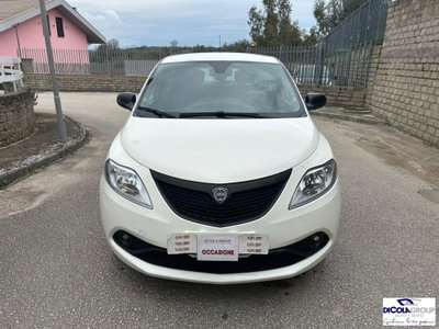 Lancia Ypsilon 1.2 69 CV 5 porte Platinum (8)
