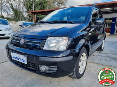 Fiat Panda 1.2 Dynamic usata
