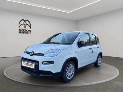 Fiat Panda Cross Cross 1.0 FireFly S&S Hybrid nuova