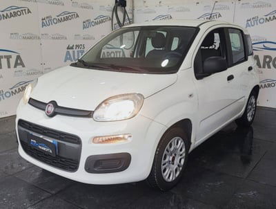 Fiat Panda 1.2 EasyPower Easy usata
