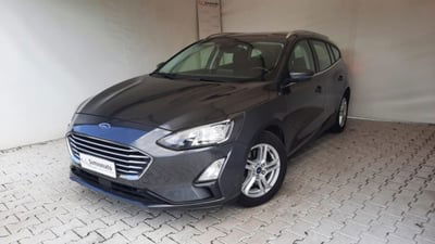 Ford Focus Station Wagon 1.5 EcoBlue 120 CV automatico SW Business Co-Pilot usata