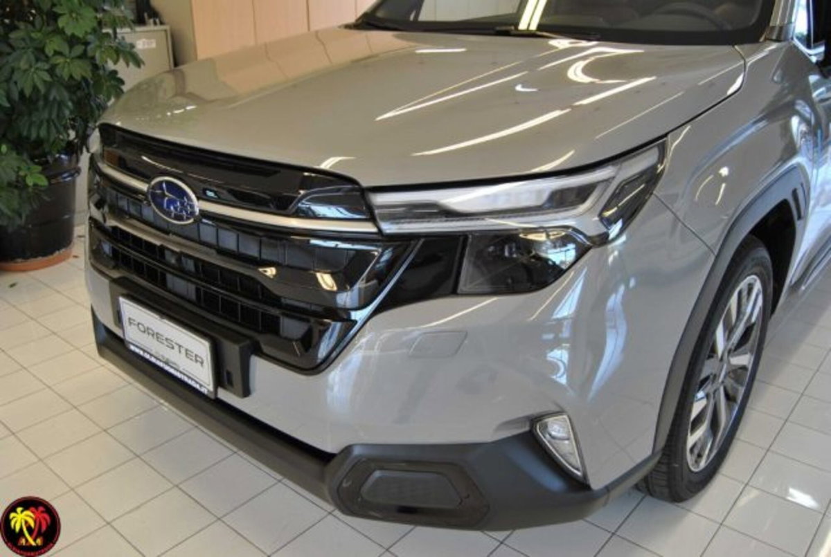 Subaru Forester 2.0i e-boxer Premium lineartronic (19)