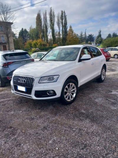 Audi Q5 2.0 TDI 150 CV clean diesel quattro Business usata