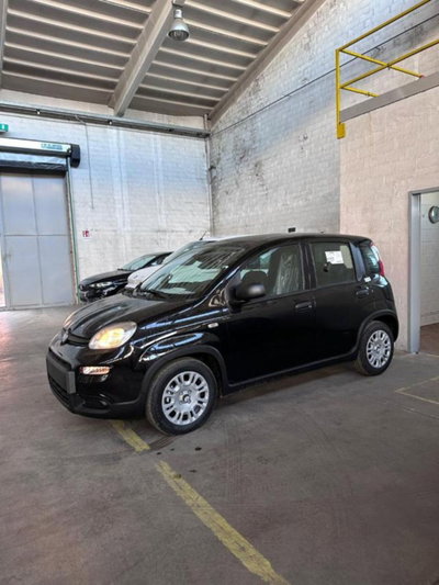 Fiat Panda 1.0 firefly hybrid s&s 70cv (7)