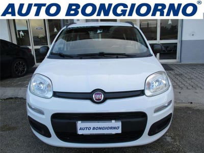 Fiat Panda 1.2 EasyPower Easy  usata