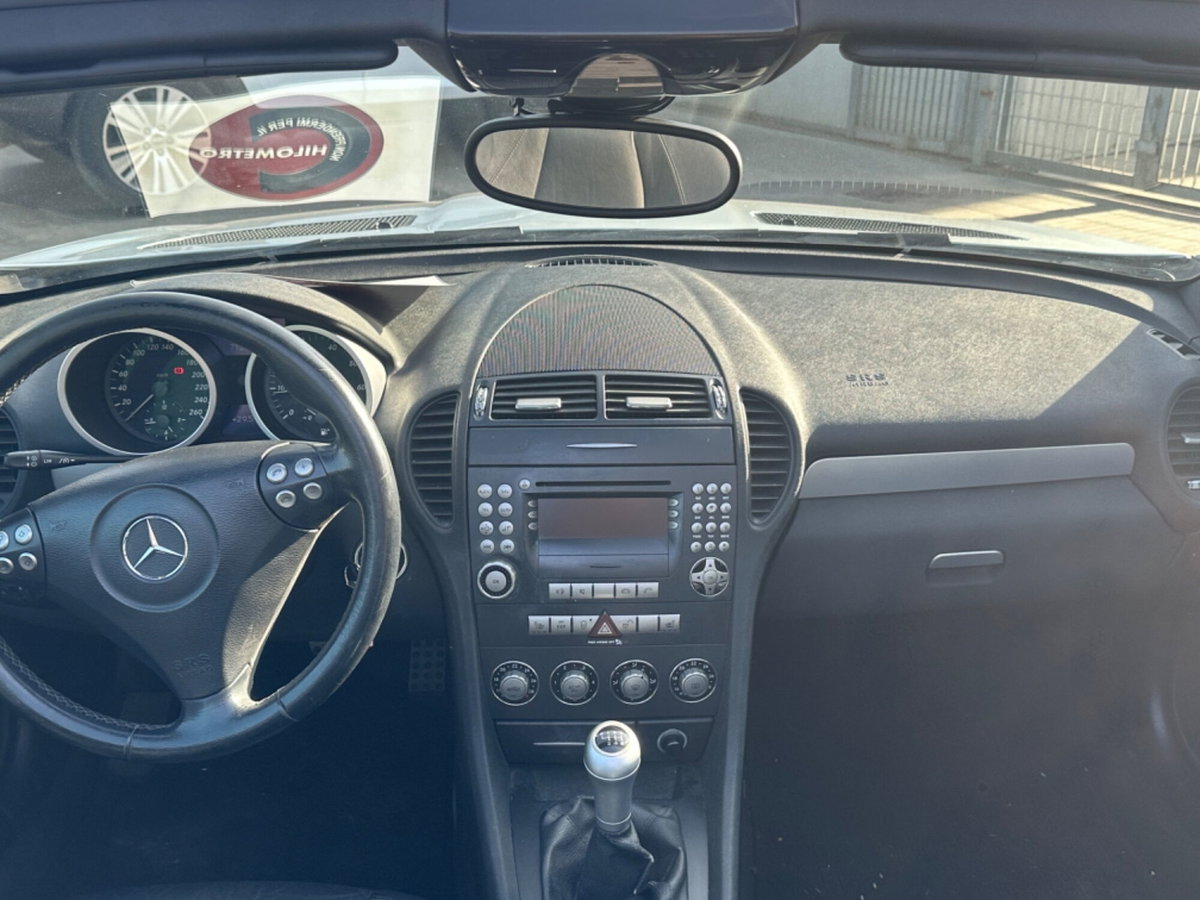Mercedes-Benz SLK 200 Kompressor cat (18)