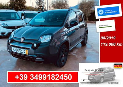 Fiat Panda 1.2 City Cross usata