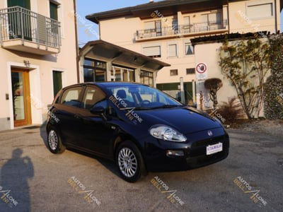 Fiat Punto 1.4 8V 5 porte Easypower Street usata