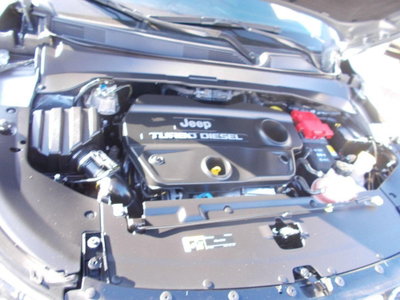Jeep Compass 1.6 Multijet II 2WD Business (19)