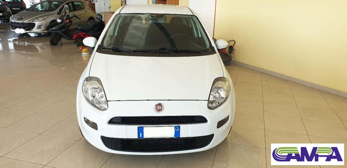 Fiat Punto Evo 1.3 MJT 95 DPF S&S 5p.Van Dynamic (2)