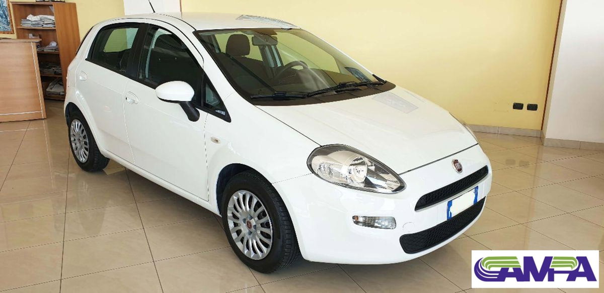 Fiat Punto Evo 1.3 MJT 95 DPF S&S 5p.Van Dynamic (3)