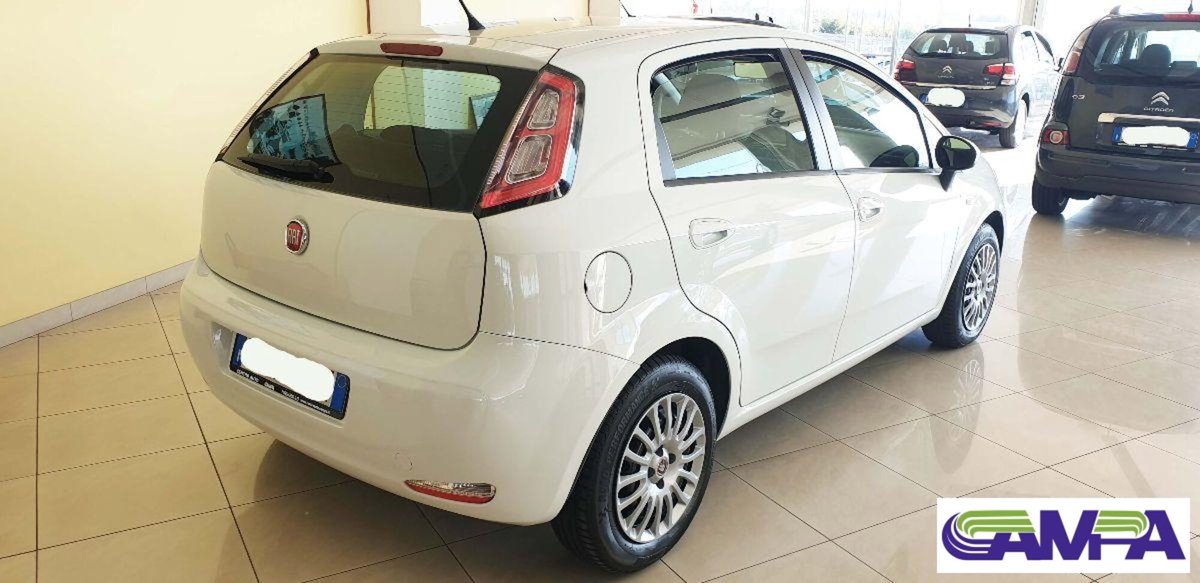 Fiat Punto Evo 1.3 MJT 95 DPF S&S 5p.Van Dynamic (4)