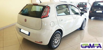 Fiat Punto Evo 1.3 MJT 95 DPF S&S 5p.Van Dynamic (4)