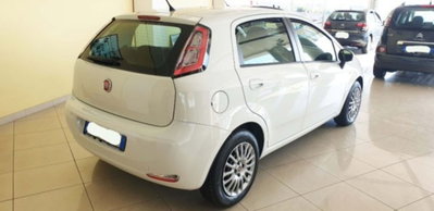 Fiat Punto 1.3 MJT II S&S 85 CV 5 porte ECO Easy (4)