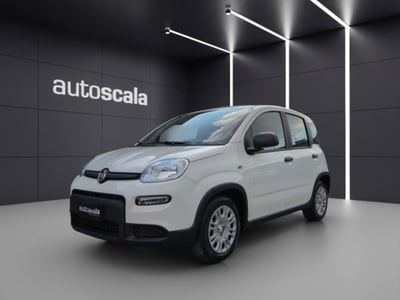 Fiat Panda 1.0 firefly hybrid s&s 70cv nuova