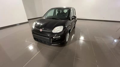 Fiat Panda 1.0 firefly hybrid s&s 70cv 5p.ti
