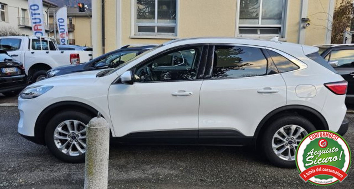 Ford Kuga 2.0 EcoBlue Hybrid 150 CV 2WD Titanium (4)