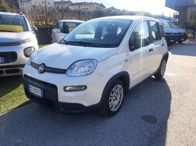 Fiat Panda 1.0 firefly hybrid s&s 70cv 5p.ti usata